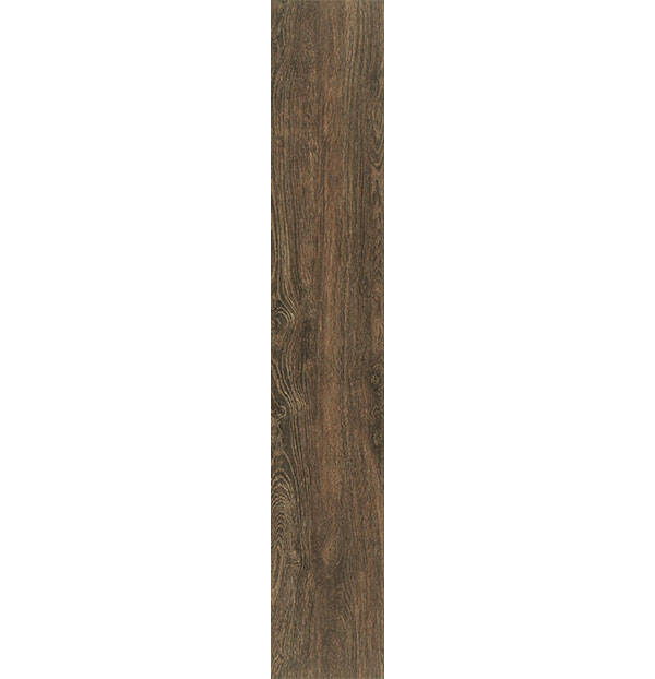 21X122 Dendro Ceviz - 1